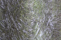 Glazeley fibreglass roof work